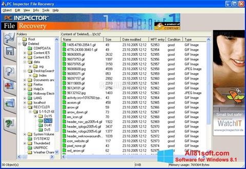Screenshot PC Inspector File Recovery Windows 8.1