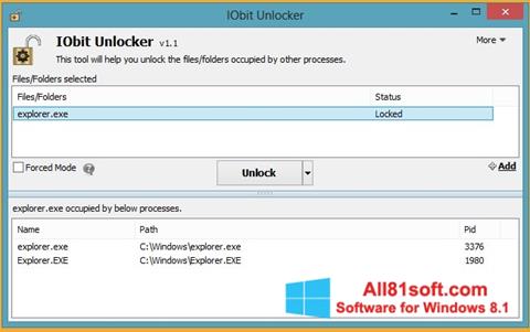 Screenshot IObit Unlocker Windows 8.1