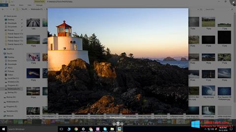 Screenshot Picasa Photo Viewer Windows 8.1