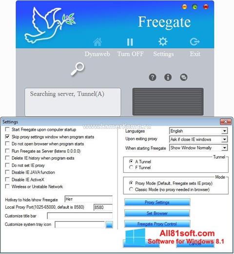 Screenshot Freegate Windows 8.1